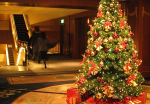 049008000_1418981648-christmas-tree-pics-0202