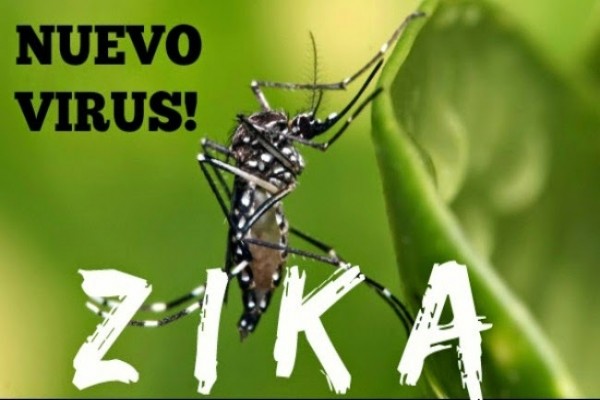 20160129nuevo_virus_zika