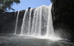 riammerasap-564f1cc57197739009b6e6b7