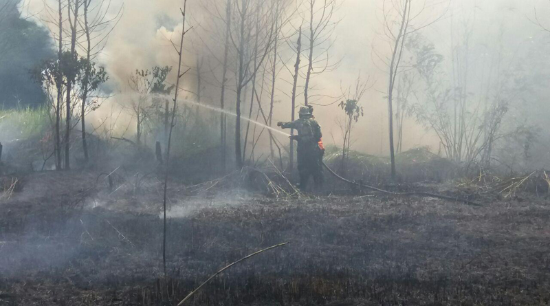 Anggota TNI Simpang Hilir Padamkan Kebakaran Lahan