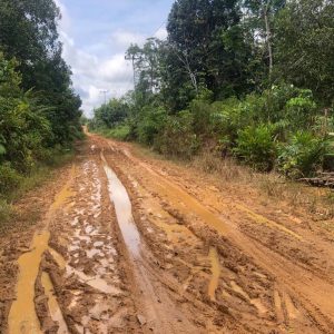 E744E749-77C8-4CFC-A22B-990D67545934