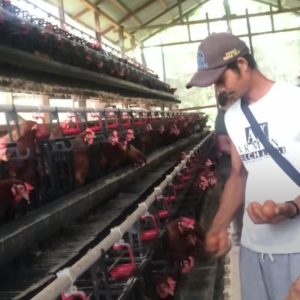 ce7cb816-eb56-405d-b82a-38ec18fc5575