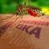 Permalink ke Komisi IX Minta Virus Zika Perlu Perhatian Khusus