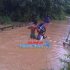 Permalink ke Banjir: Akses Jalan Menuju Ibu kota Kecamatan Sepauk Putus