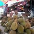 Permalink ke Penjual Durian Raup keuntungan Jutaan Rupiah Per Hari