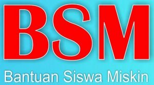 BSM
