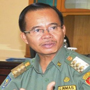 Bupati Melawi, Panji