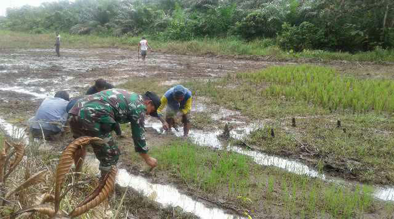 photo_2017-01-08_15-01-05