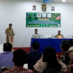 WORKSHOP. Bupati Ketika menyampaikan sambutannya dalam pembukaan workshop pengembangan pertanian terpadu menuju ketahanan pangan di Kabupaten---Dedi Irawan (1)