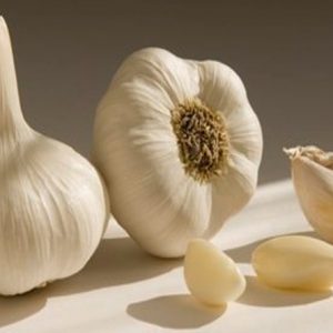 manfaat-bawang-putih-oleh-Kesehatan-SegiEmpat