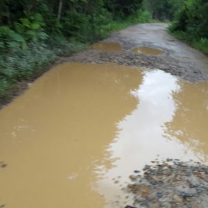 Inilah kondisi ruas jalan provinsi yang menghubungkan antara Kota Baru dan Sokan. Ruas jalan ini memang perlu menjadi perhatian khusus oleh UPJJ Provinsi---Rudi for rakyat Kalbar (2)