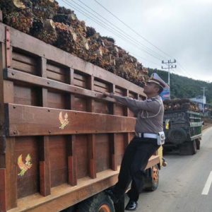 Kasat lantas Ketika memeriksa truk bermuatan sawit tanpa jarring pengaman di Desa Batu Buil Kecamatan Belimbing---sat Lantas For Rakyat Kalbar (1)