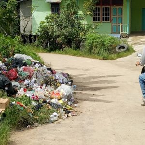 Tumpukan sampah di Salah TPS Desa Kenual yang meluber hingga ke badan jalan. Kondisi ini sudah terjadi berminggu-minggu---Dedi Irawan (1)
