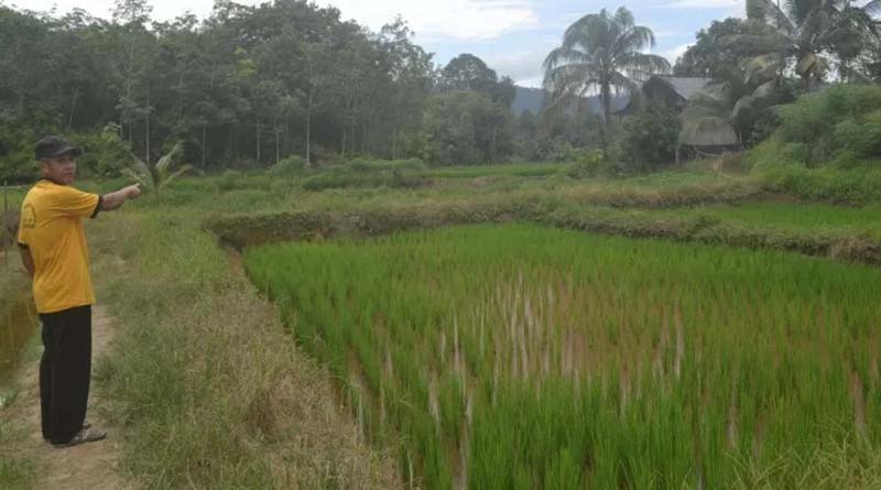 Seorang wraga ketika menunjukan keberadaan kolam yang tidak berfungsi---Sirait For Rakyat Kalbar