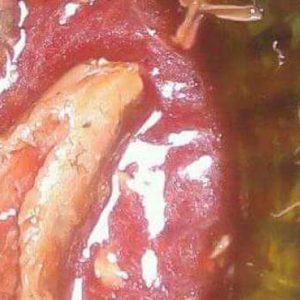 akibat-temuan-mengandung-cacing-pedagang-nasi-ampera-jadi-enggan-membeli-ikan-sarden-kaleng