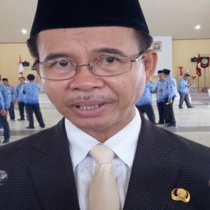 Bupati, Panji