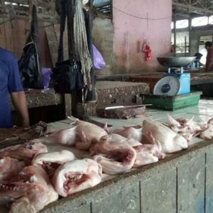 ayam