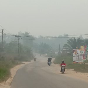 Kondisi kabut asap yang semakin pekat menyelimuti wilayah Melawi---Dedi Irawan