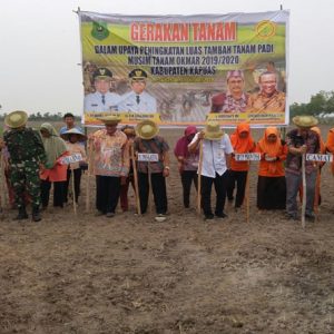 palingkau 1